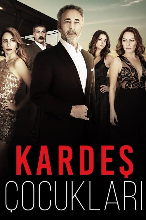 Kardeş Çocukları posteri