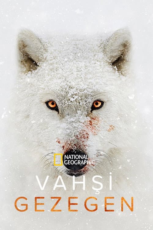 Vahşi Gezegen posteri