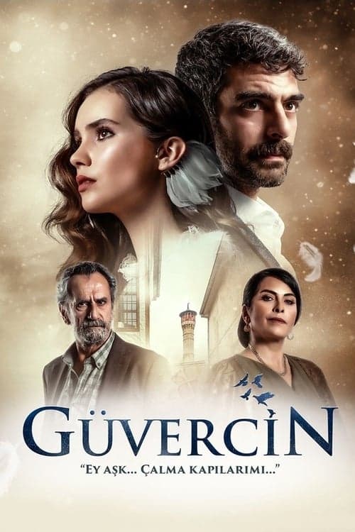 Güvercin posteri