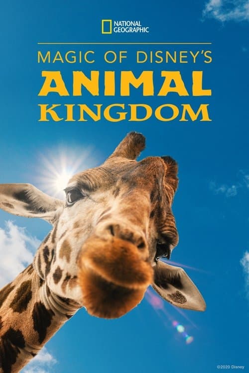 Disney's Animal Kingdom'ın Sihri posteri