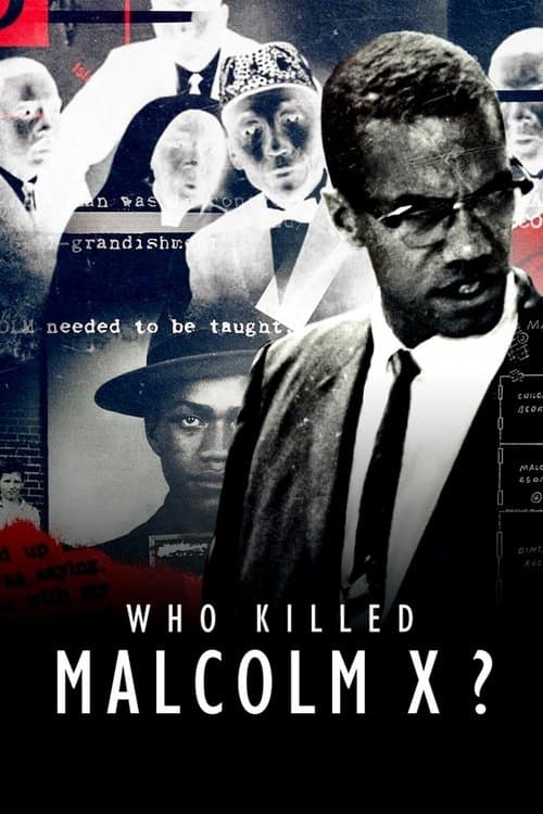 Who Killed Malcolm X? posteri