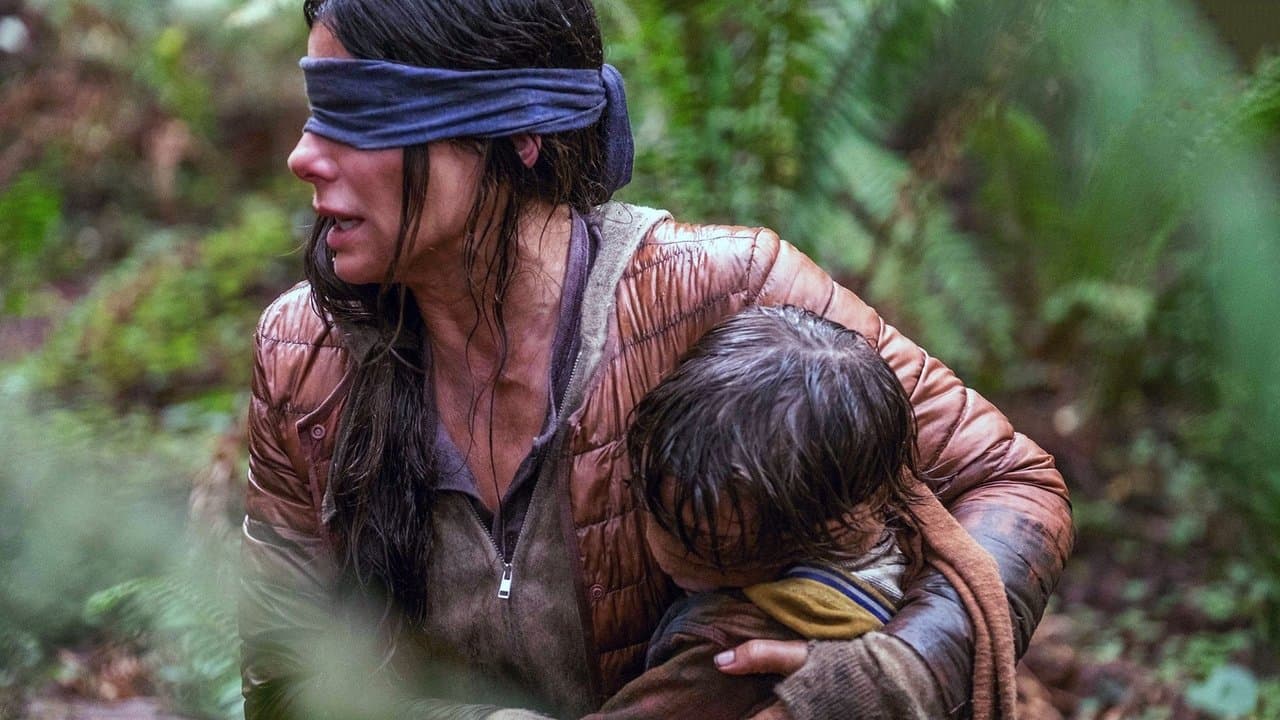 Bird Box serisi