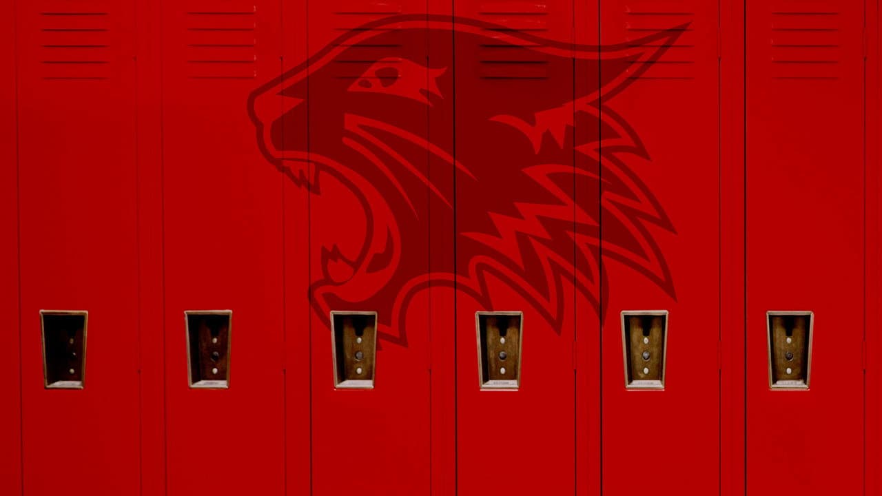 High School Musical serisi